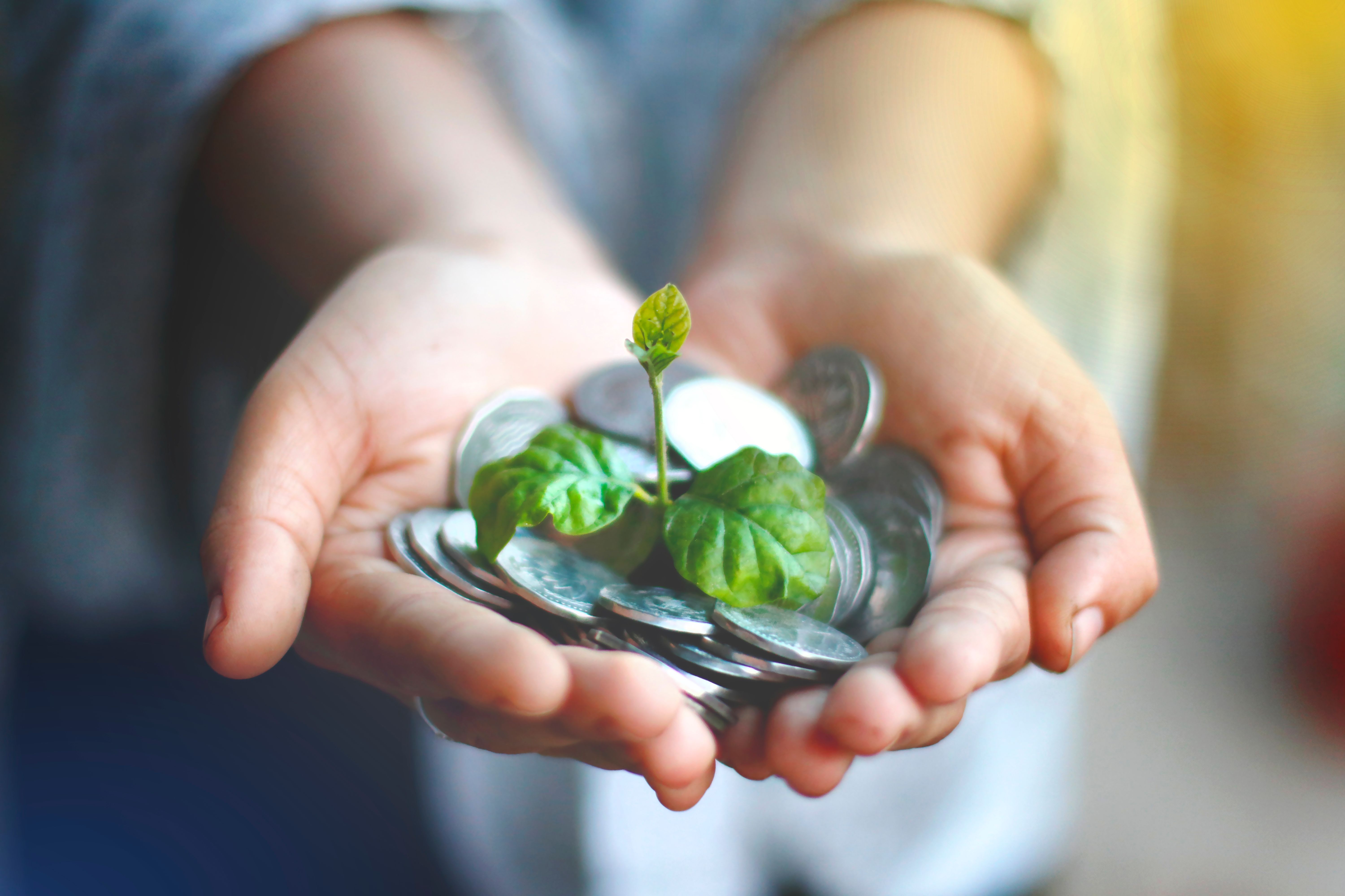 Hands holding coins with a small plant sprouting, representing business growth funding