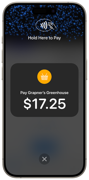 iPhone showing the Tap to Pay screen