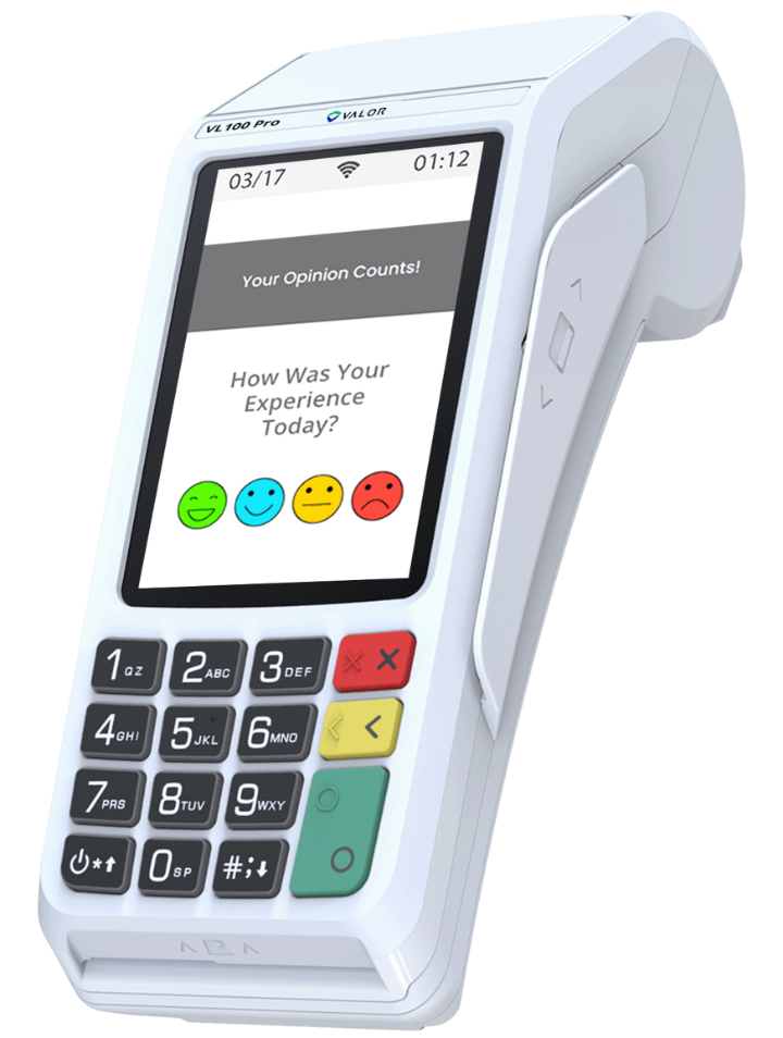 Valor VL100 Pro